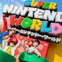 Image result for Mario World Universa