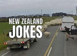 Image result for NZ Memes