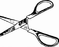 Image result for Stainless Steel Scissors Sharp Blunt