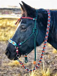 Image result for Bridle for Invisible Horse