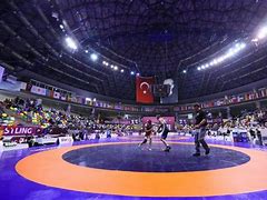 Image result for United World Wrestling Olimpic Center in China Photos