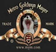Image result for Metro Goldwyn Mayer Cat