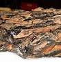 Image result for Crocodile Mummies