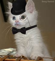 Image result for Fancy Cat Meme