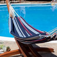 Image result for Pool Hammock