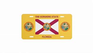 Image result for Florida License Plates Texture