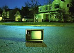 Image result for Television in a Tree