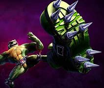 Image result for Rash Battletoads Art