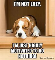 Image result for Lazy Dog Meme