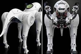 Image result for Robot Dog Fashion Show