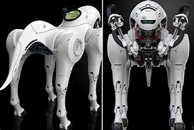 Image result for Cool Robot Dog