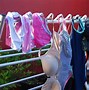 Image result for Mini Clothes Drying Rack