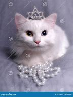 Image result for Kitty Cat Queen