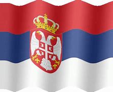 Image result for Serbian War Flag
