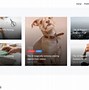 Image result for Easy to Use Free Web Page Templates