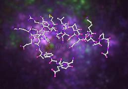 Image result for Molecular Modeling for Drug Design