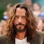 Image result for Chris Cornell Ethnicity