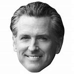 Image result for Gavin Newsom Politician