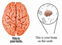 Image result for This Is Your Brain Meme