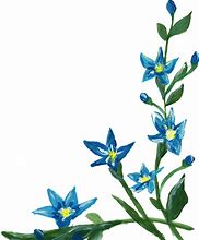 Image result for Blue Flower Border Transparent