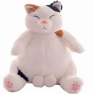 Image result for Stuffed White Cat Meme