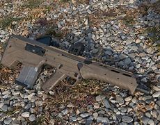 Image result for Desert Tech MDR with EOTech