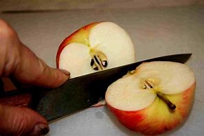Image result for Apple Fruit Cut