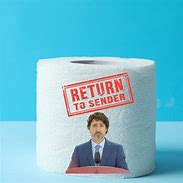 Image result for Funny Treaudo Toilet Paper
