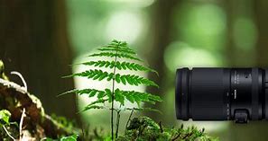 Image result for Sony A5100 with Zoom Lens