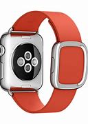 Image result for Apple Watch Band Charms