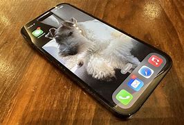 Image result for Apple New iPhone Release Date