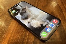 Image result for Newest iPhone 15