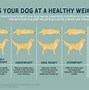 Image result for Dog Body Weight Chart