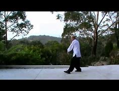 Image result for Tai Chi Wu Style 108 Movement