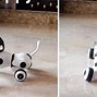 Image result for Robot Dogs for Adults