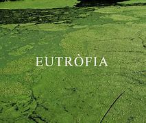 Image result for eutrofia