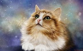 Image result for Moving Cat Backgrounds