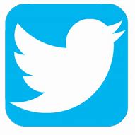 Image result for Twitter Icon PNG 2019