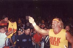 Image result for Hulk Hogan You