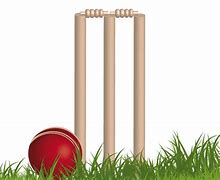 Image result for Cricket HD PNG Image