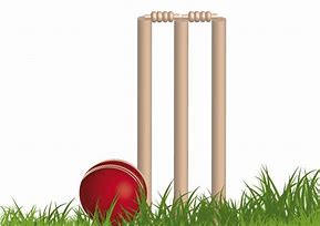 Image result for Cricket PNG Images