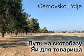 Image result for Cemovsko Polje