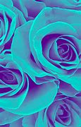 Image result for Blush Rose Beats