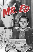 Image result for "Mr. Ed" TV Series