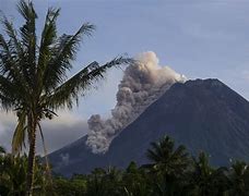 Image result for indonesio