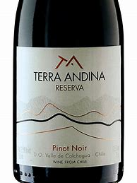 Image result for Terra Andina Pinot Noir Reserva