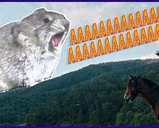 Image result for Screaming Mouse Meme