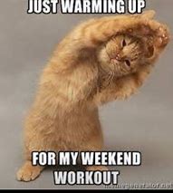 Image result for Cat Workout Meme