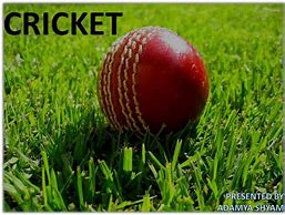 Image result for JPEG for Cricket Cutter