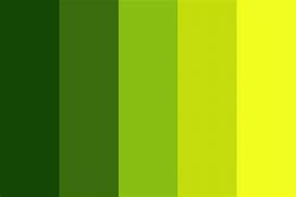 Image result for Combination of Dark Green and Yellow